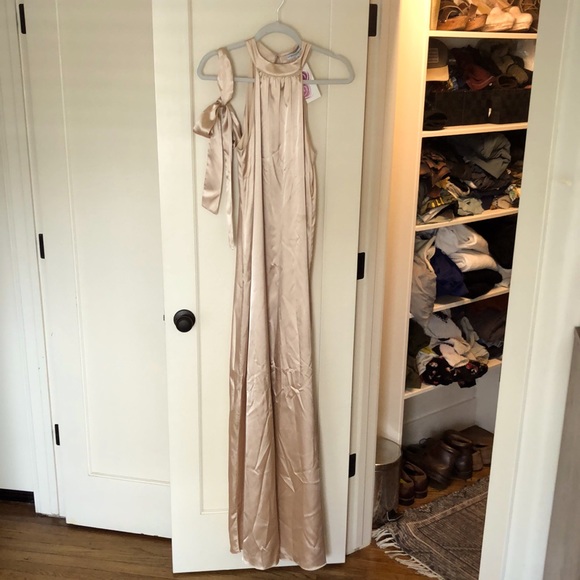 Beautiful Formal Neutral Tone Dress - Picture 1 of 5